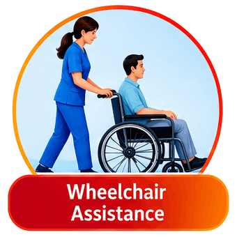 wheelchair-assistance